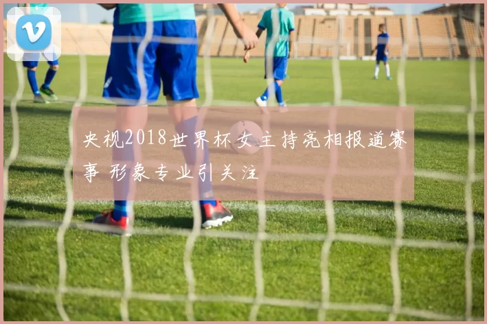 央视2018世界杯女主持亮相报道赛事 形象专业引关注