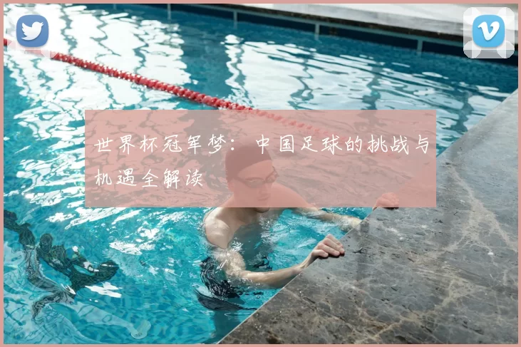 世界杯冠军梦:中国足球的挑战与机遇全解读