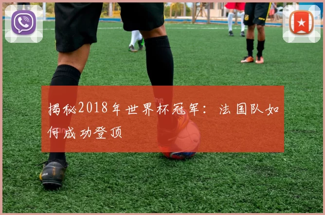 揭秘2018年世界杯冠军：法国队如何成功登顶