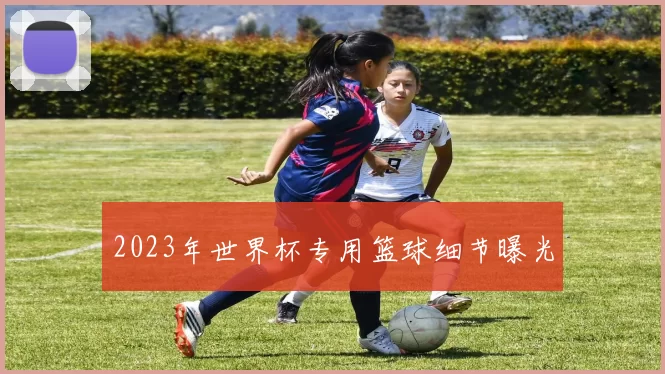2023年世界杯专用篮球细节曝光