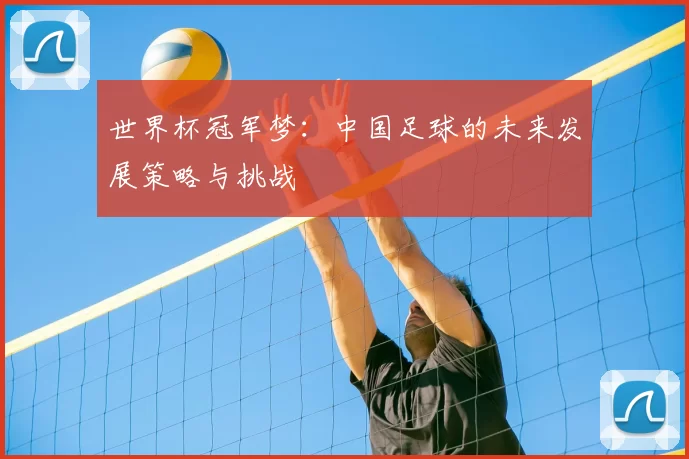 世界杯冠军梦:中国足球的未来发展策略与挑战