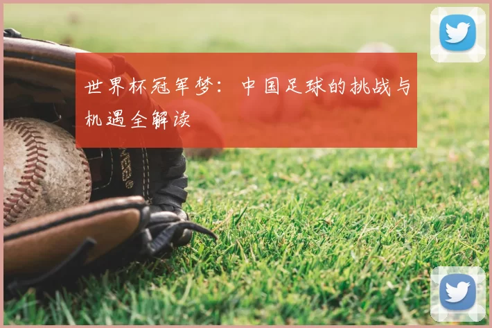 世界杯冠军梦：中国足球的挑战与机遇全解读