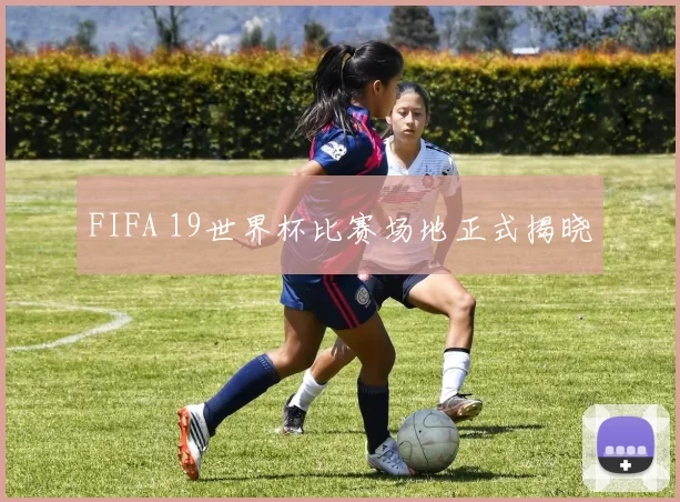 FIFA 19世界杯比赛场地正式揭晓