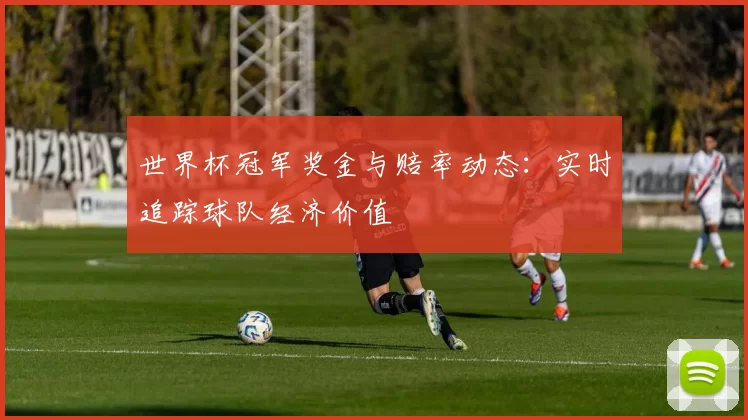 世界杯冠军奖金与赔率动态：实时追踪球队经济价值