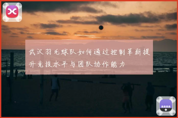 武汉羽毛球队如何通过控制革新提升竞技水平与团队协作能力