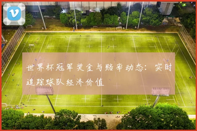 世界杯冠军奖金与赔率动态：实时追踪球队经济价值