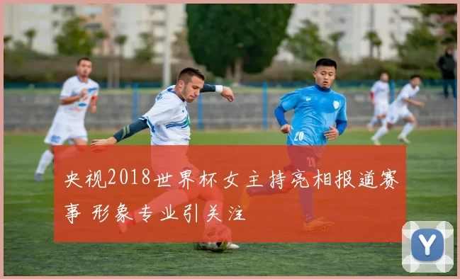 央视2018世界杯女主持亮相报道赛事 形象专业引关注