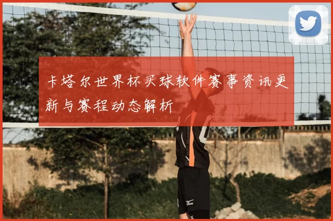 卡塔尔世界杯买球软件赛事资讯更新与赛程动态解析