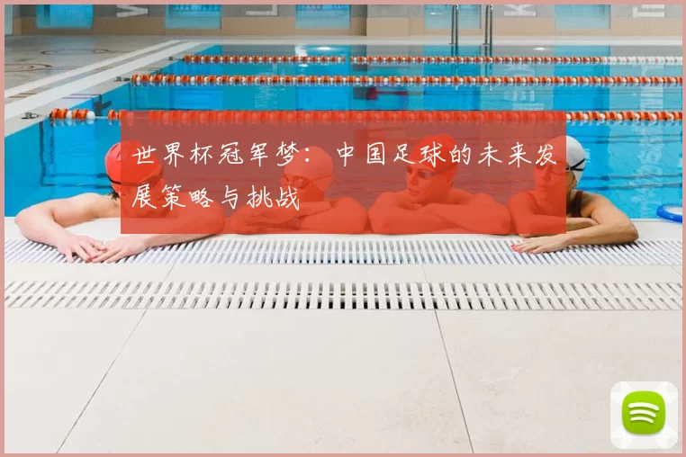 世界杯冠军梦：中国足球的未来发展策略与挑战